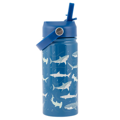 Insulated Water Bottle W/ Handle