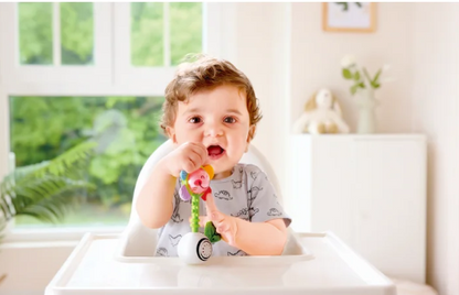 Shake n' Sparkle Flower Rattle