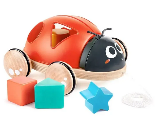 Shape-sorter Ladybug