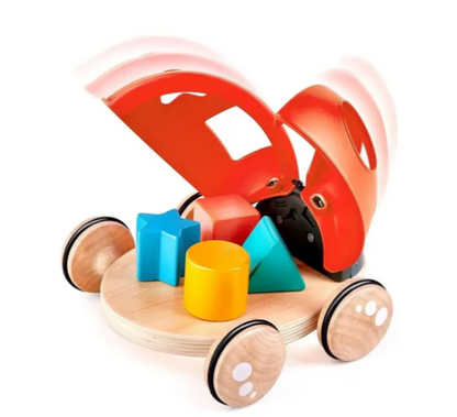 Shape-sorter Ladybug