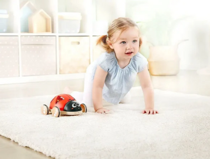 Shape-sorter Ladybug