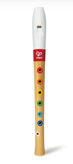 Mini Musician's Starter Recorder