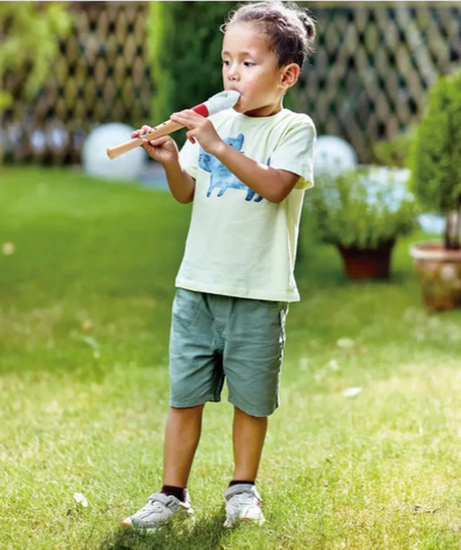 Mini Musician's Starter Recorder