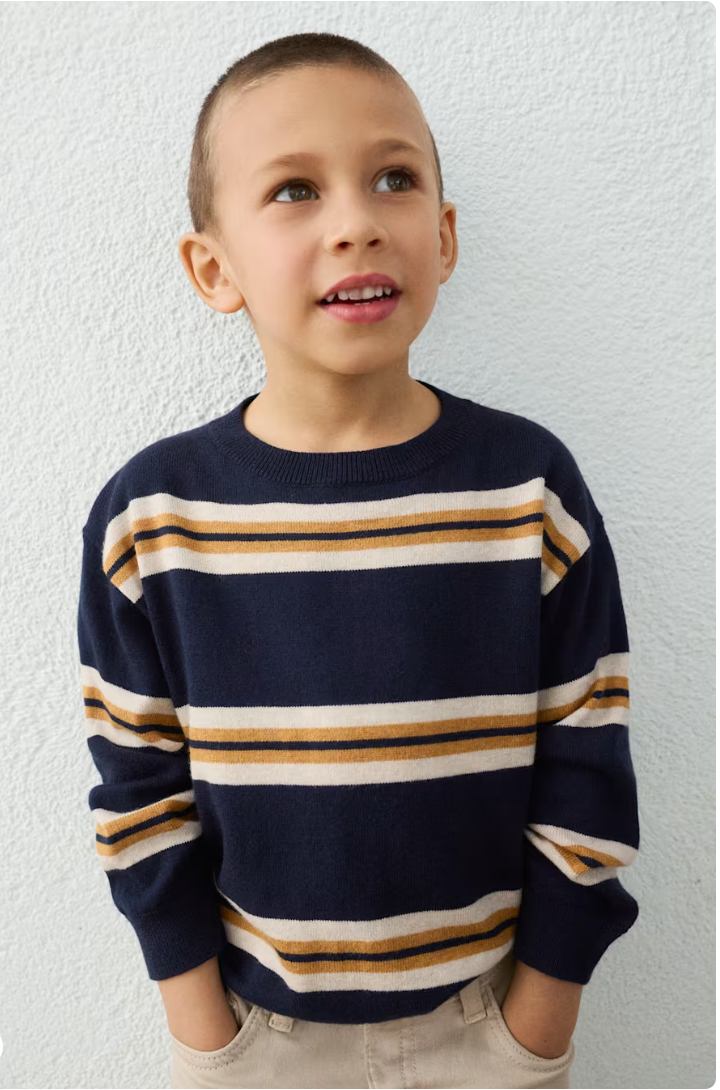 Navy Stripe Sweater-4303