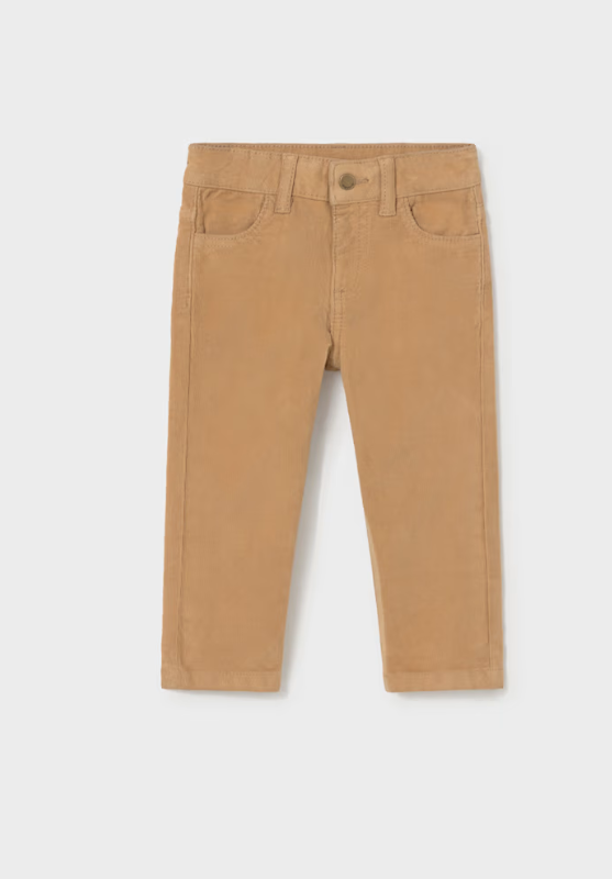 Regular Fit Cord Pant-542
