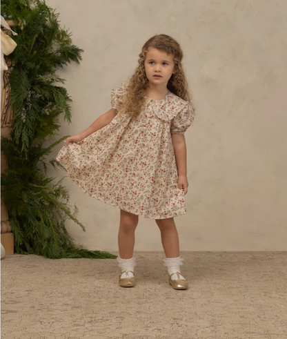 Lori Dress - Holly Vines