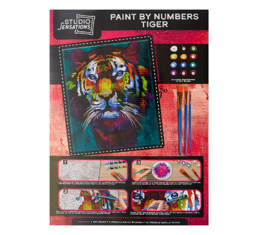 Paint by Numbers Art Kit