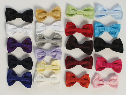 Silk Clip-On Bowtie - BOWTIE