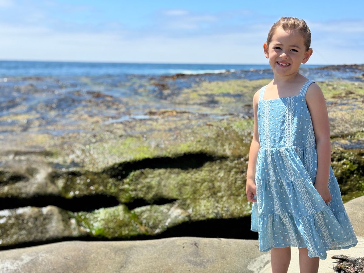 Tess Dress - Blue Emb.