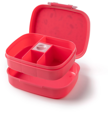 Bento Box W/ Removable Tray