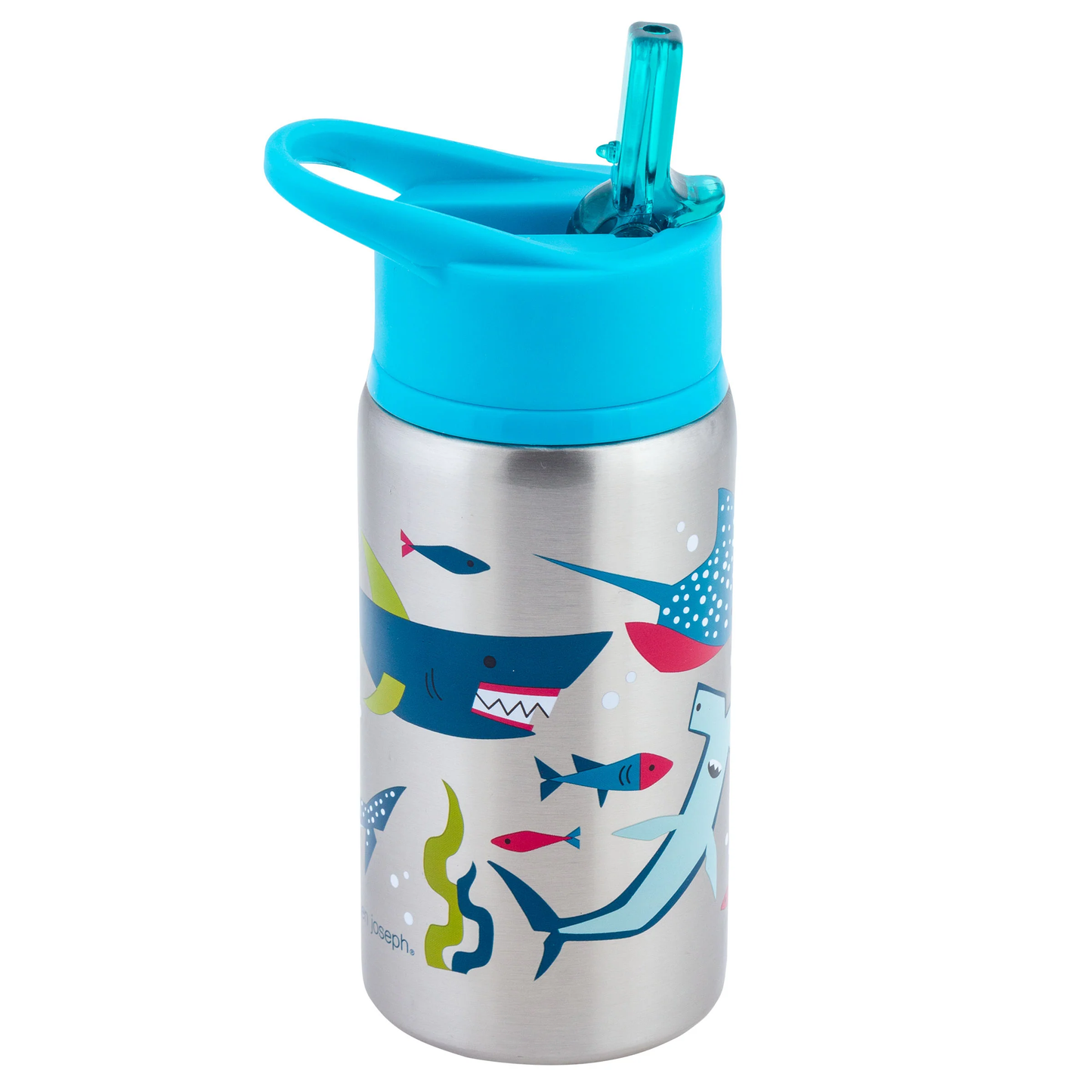 Stainless Steel Bottle