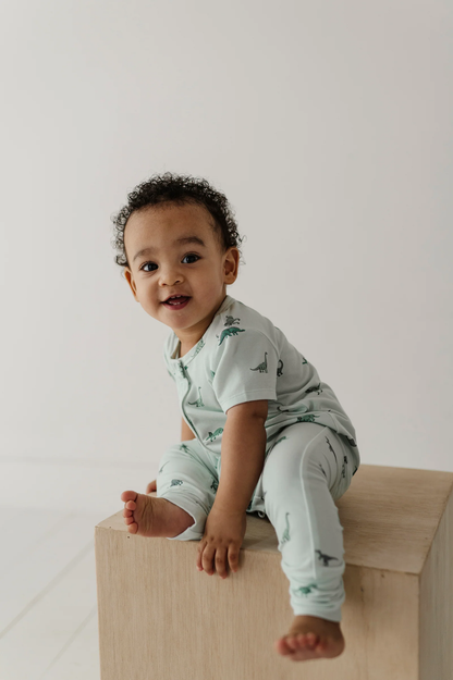 Dinosaur - S/S Henley Romper