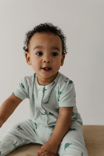 Dinosaur - S/S Henley Romper