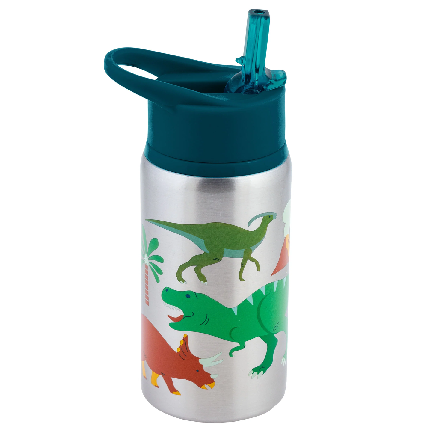 Stainless Steel Bottle